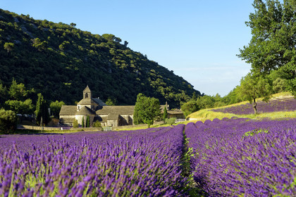 France, Senanque