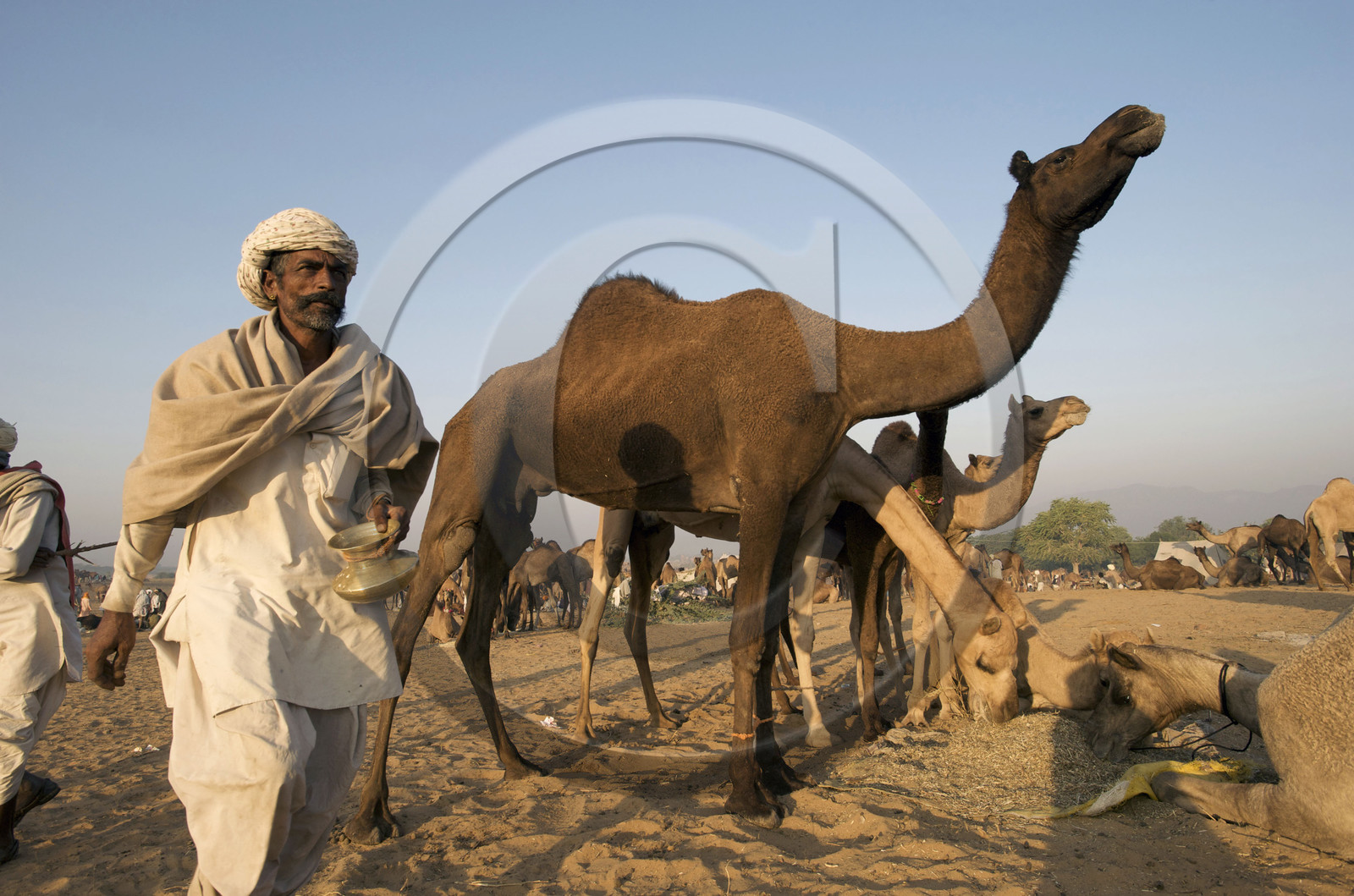 Inde, Pushkar