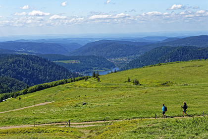 France, Vosges