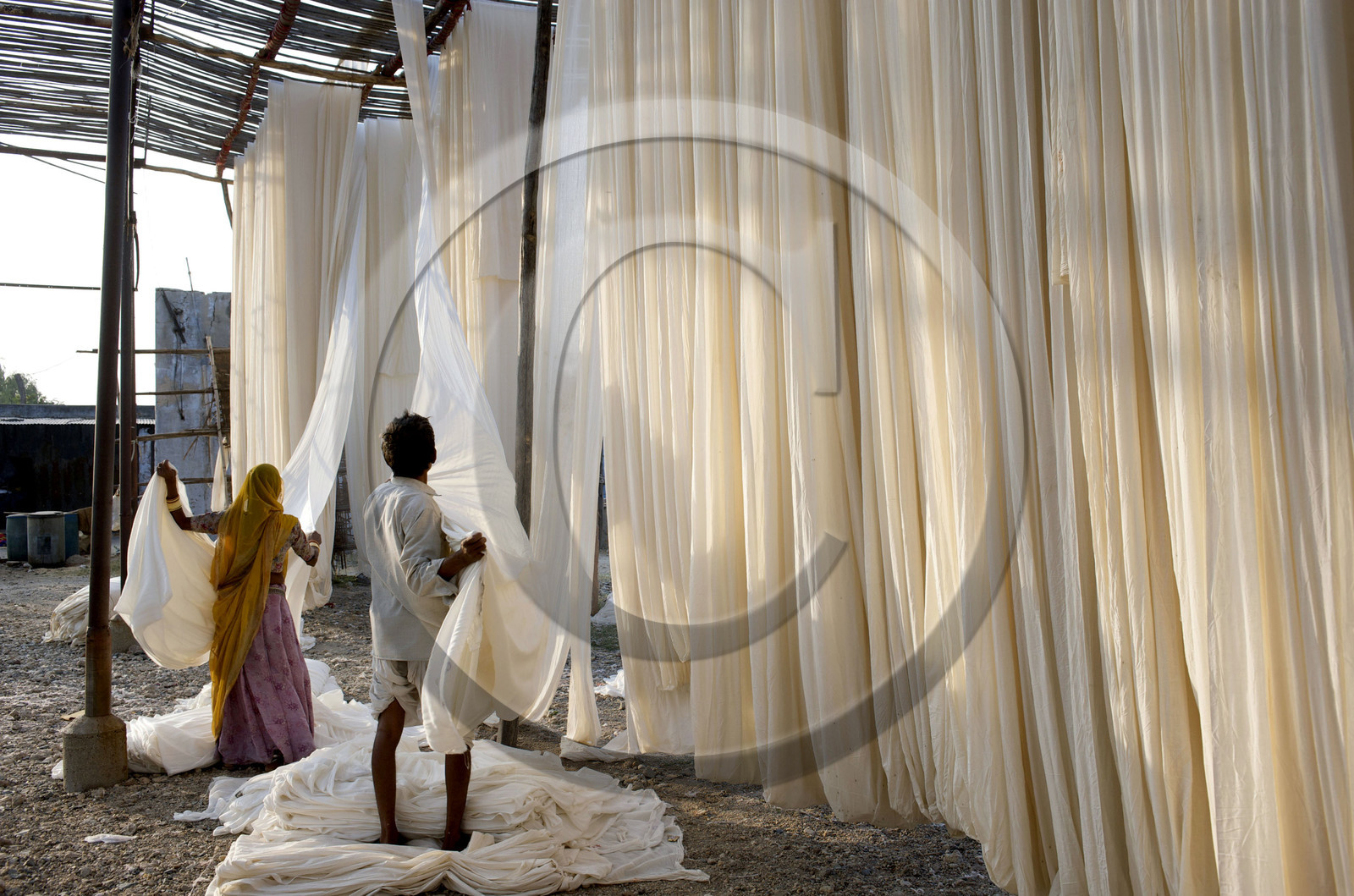 Inde, sari