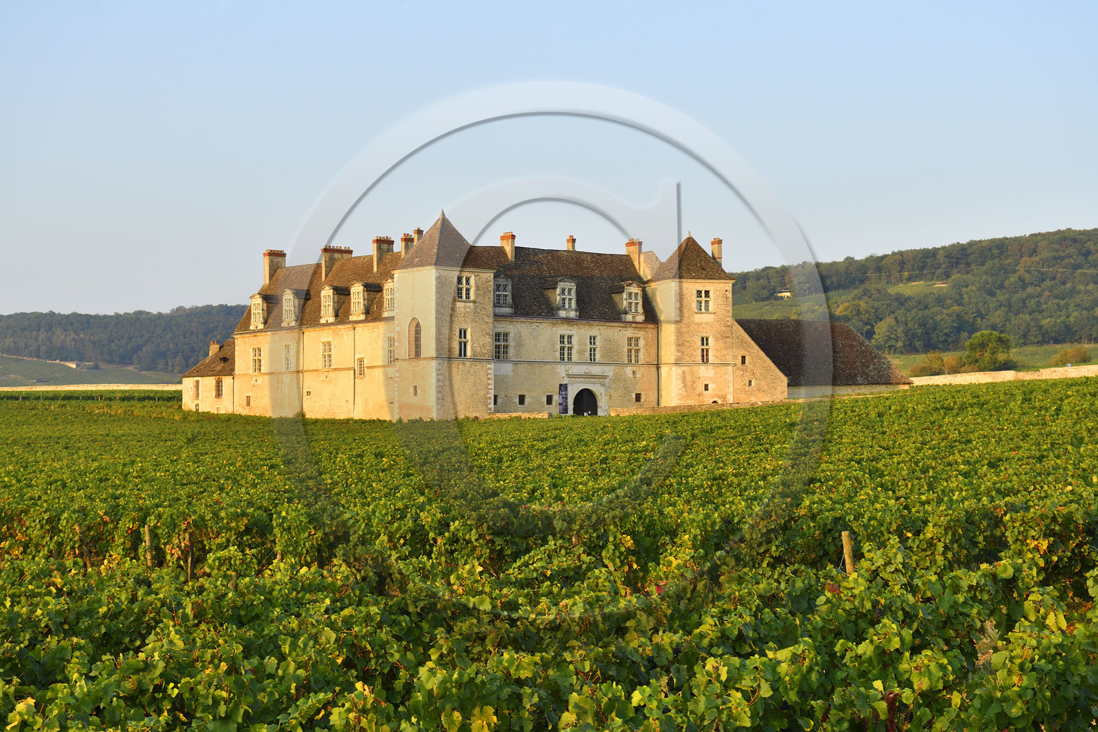 France, Vougeot