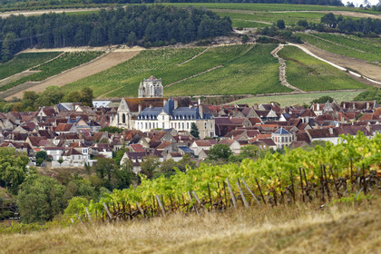 France, Auxerre