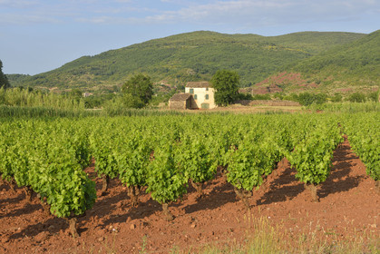 France, Moureze