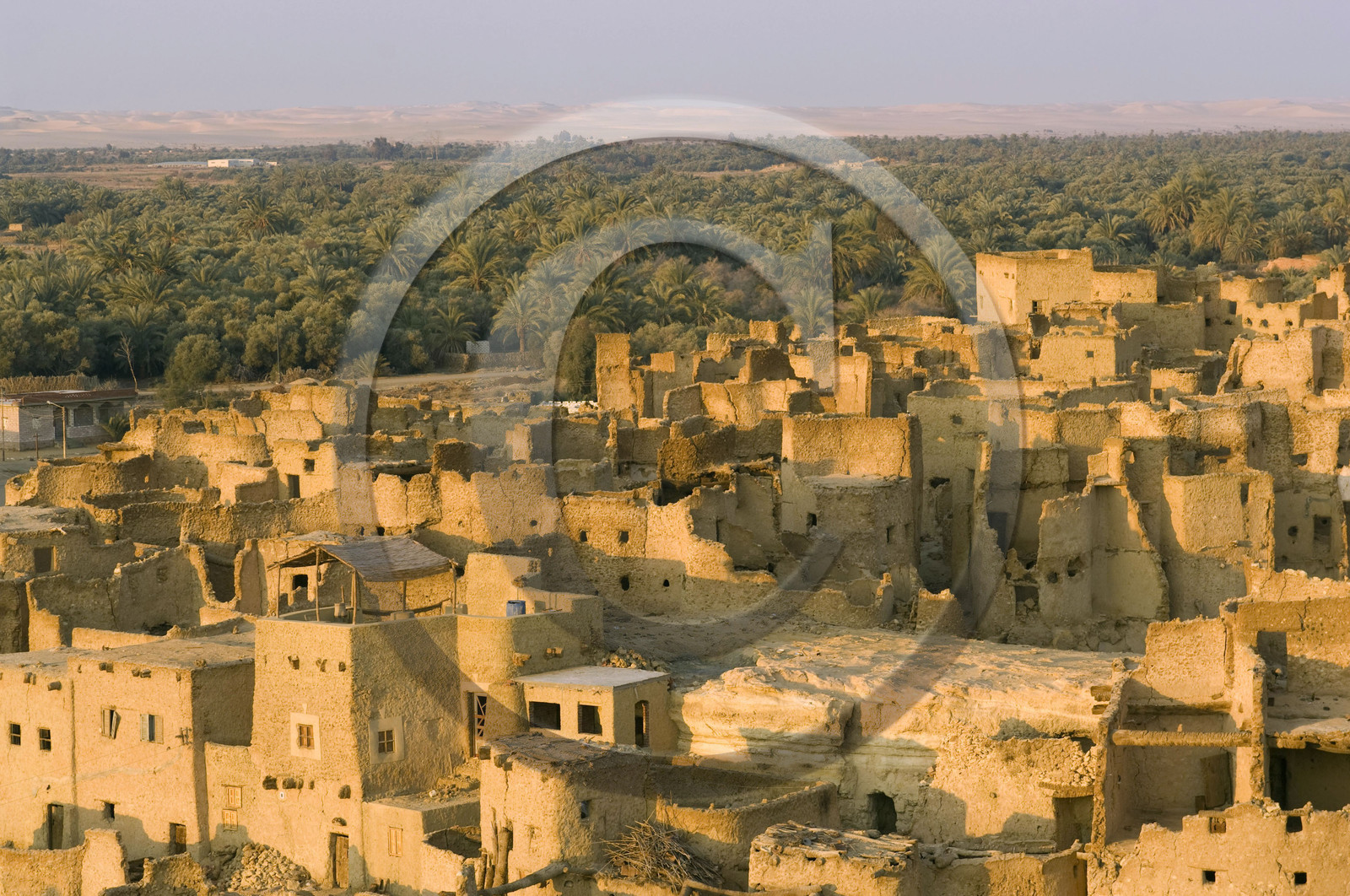 Egypte, Siwa