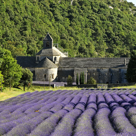 France, Senanque