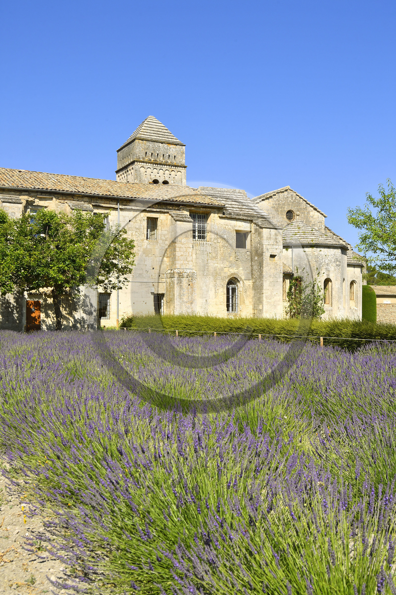 France, Saint Remy de Provence