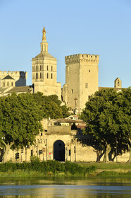 France, Avignon