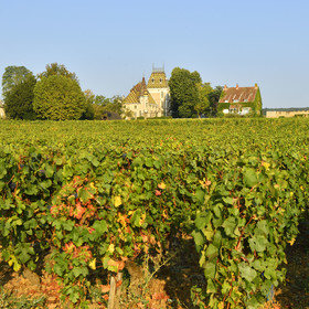 France, Bourgogne