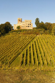 France, Kintzheim