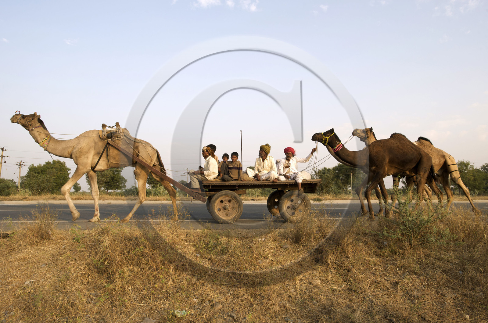 Inde, Gujarat