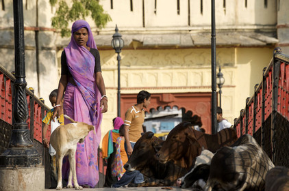 Inde, Udaipur