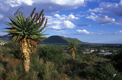 AFRIQUE DU SUD