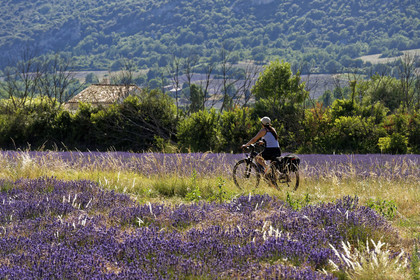 France, Sault