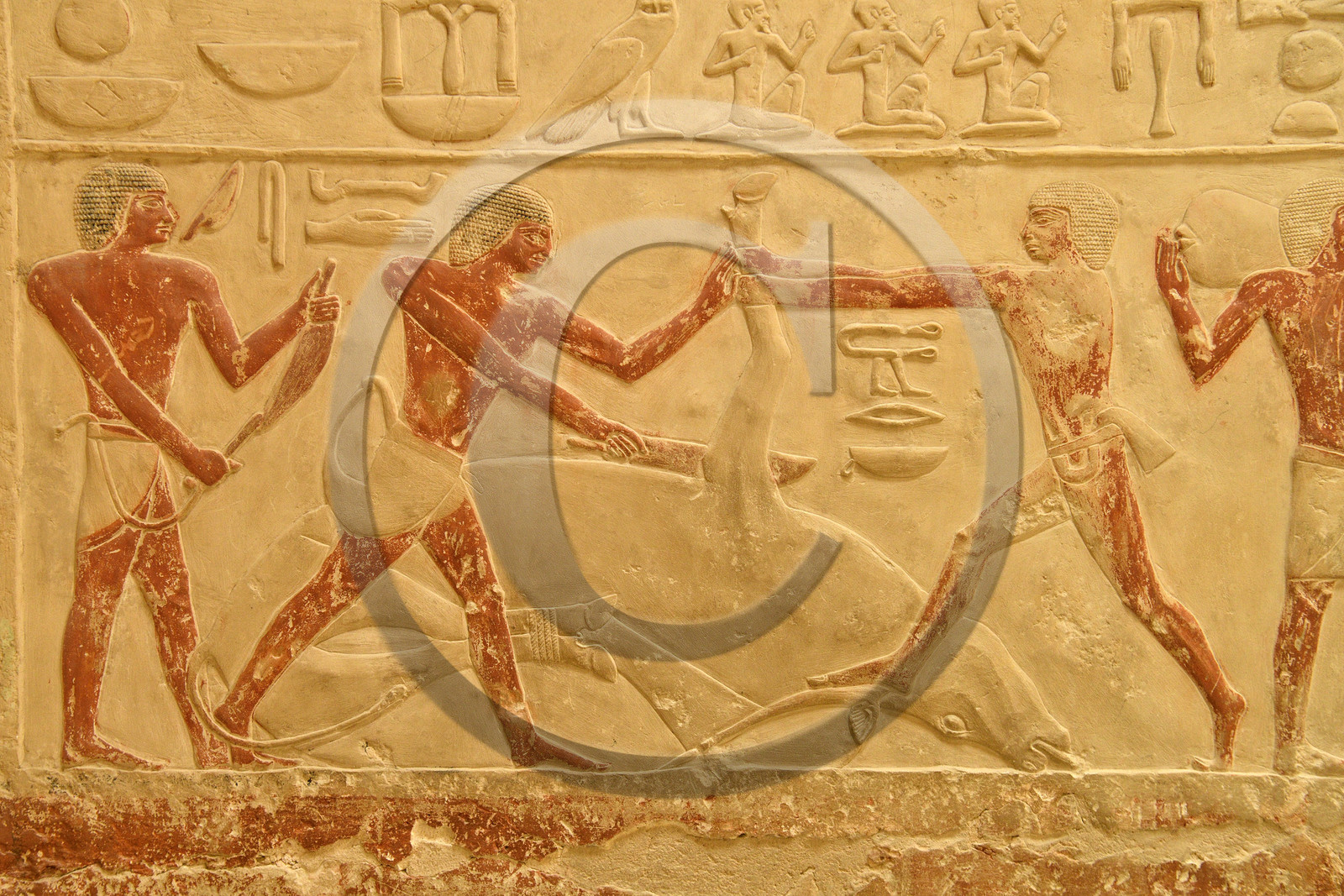 Egypte, Saqqara