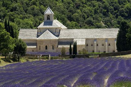 France, Senanque