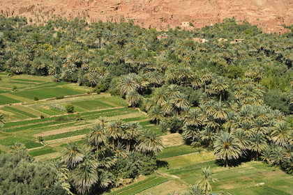 Maroc, Tineghir