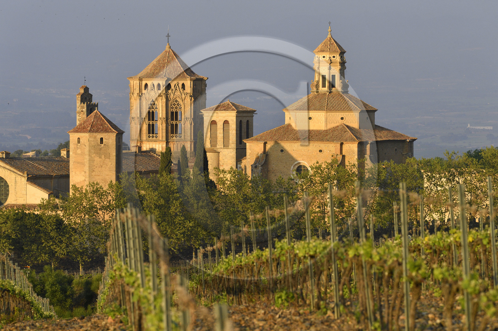 Espagne, Poblet