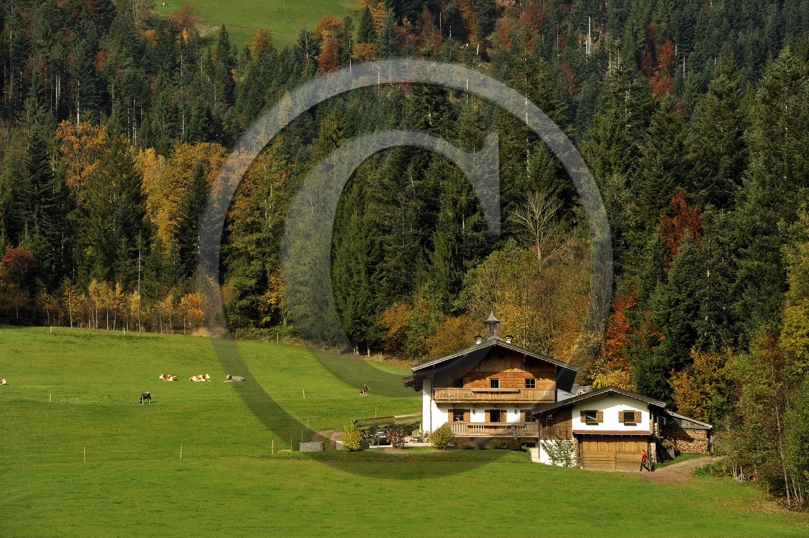 Autriche, Tyrol