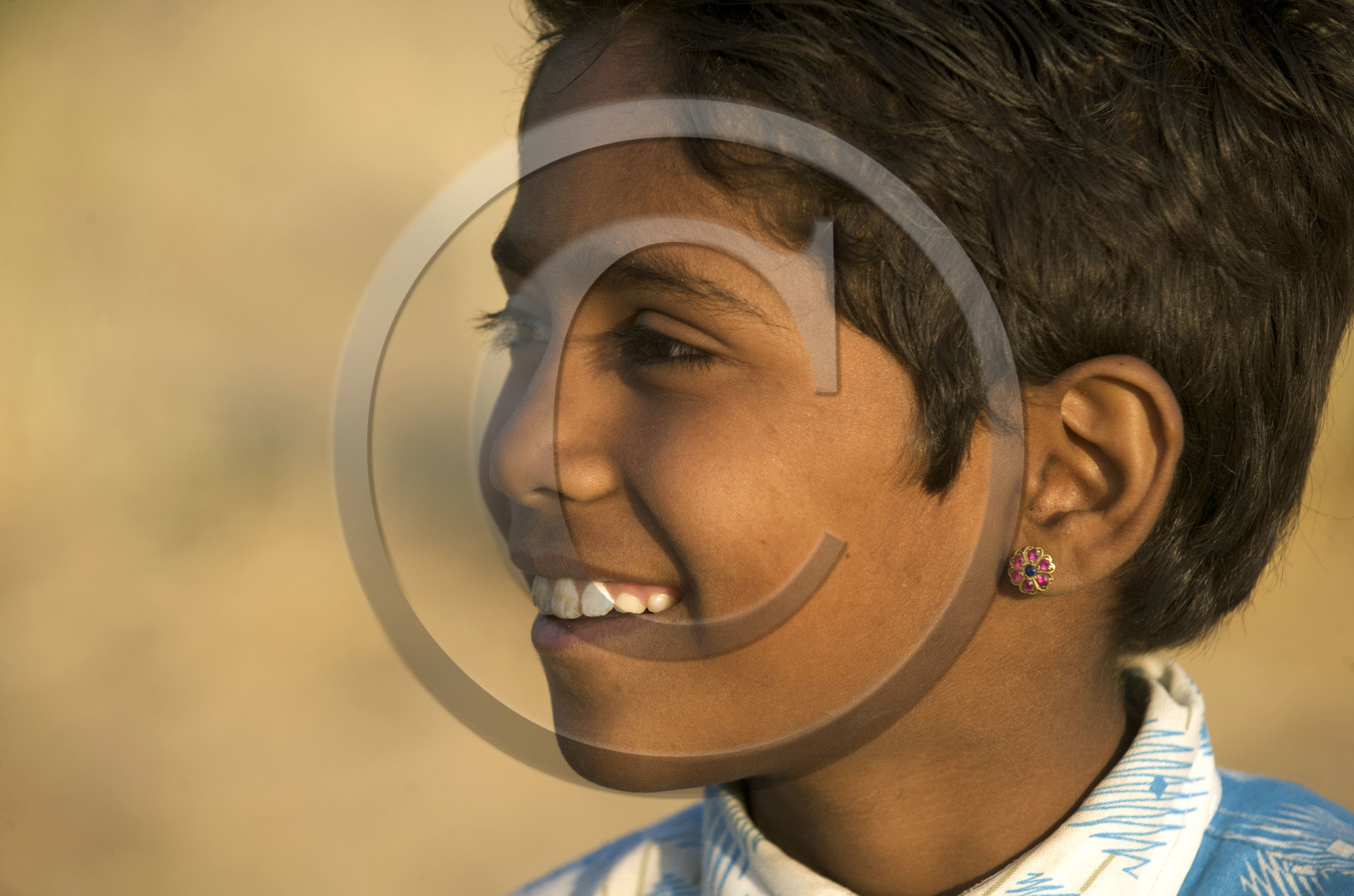 Inde, Rajasthan