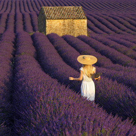 France, Valensole