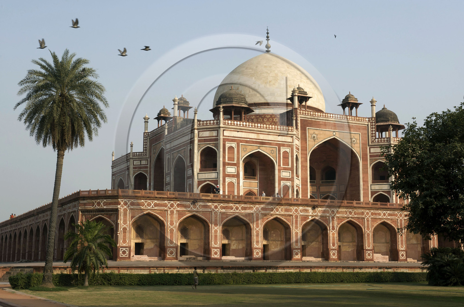 Inde, Delhi