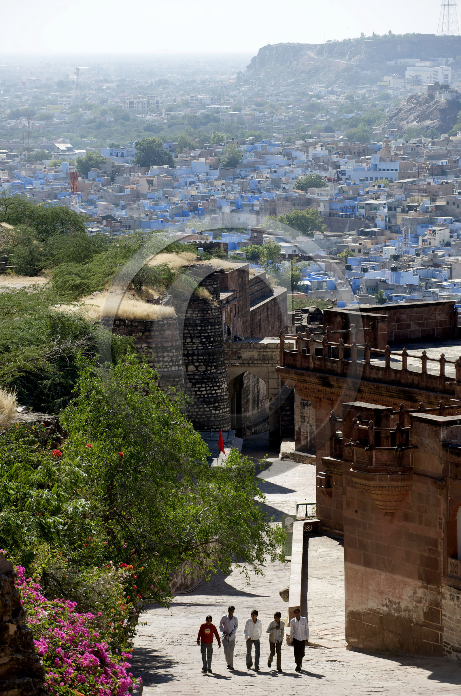 Inde, Jodhpur