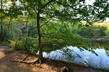 France, Brocéliande