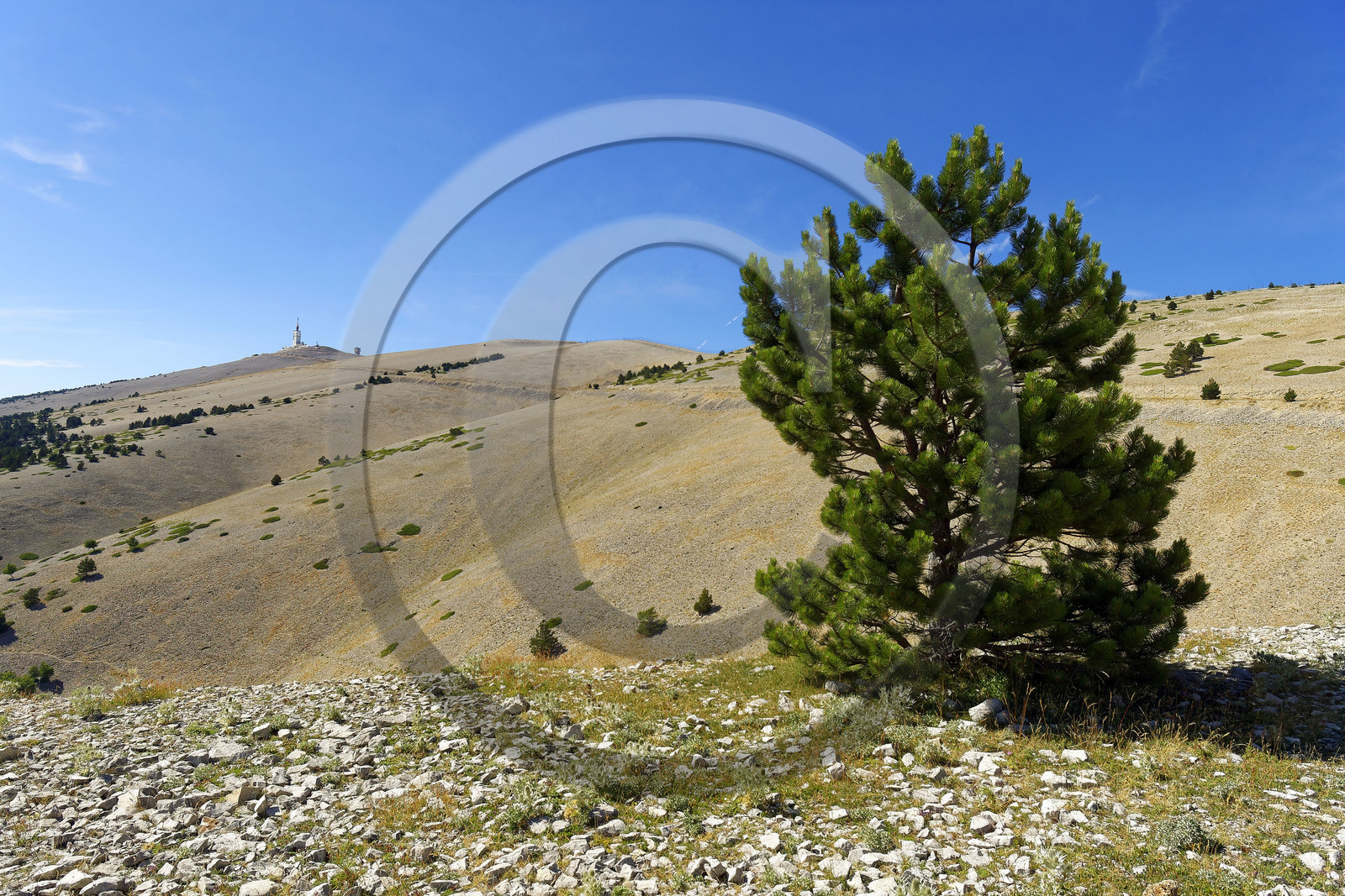 France, Ventoux