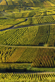 France, Niedermorschwihr