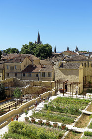 France, Avignon