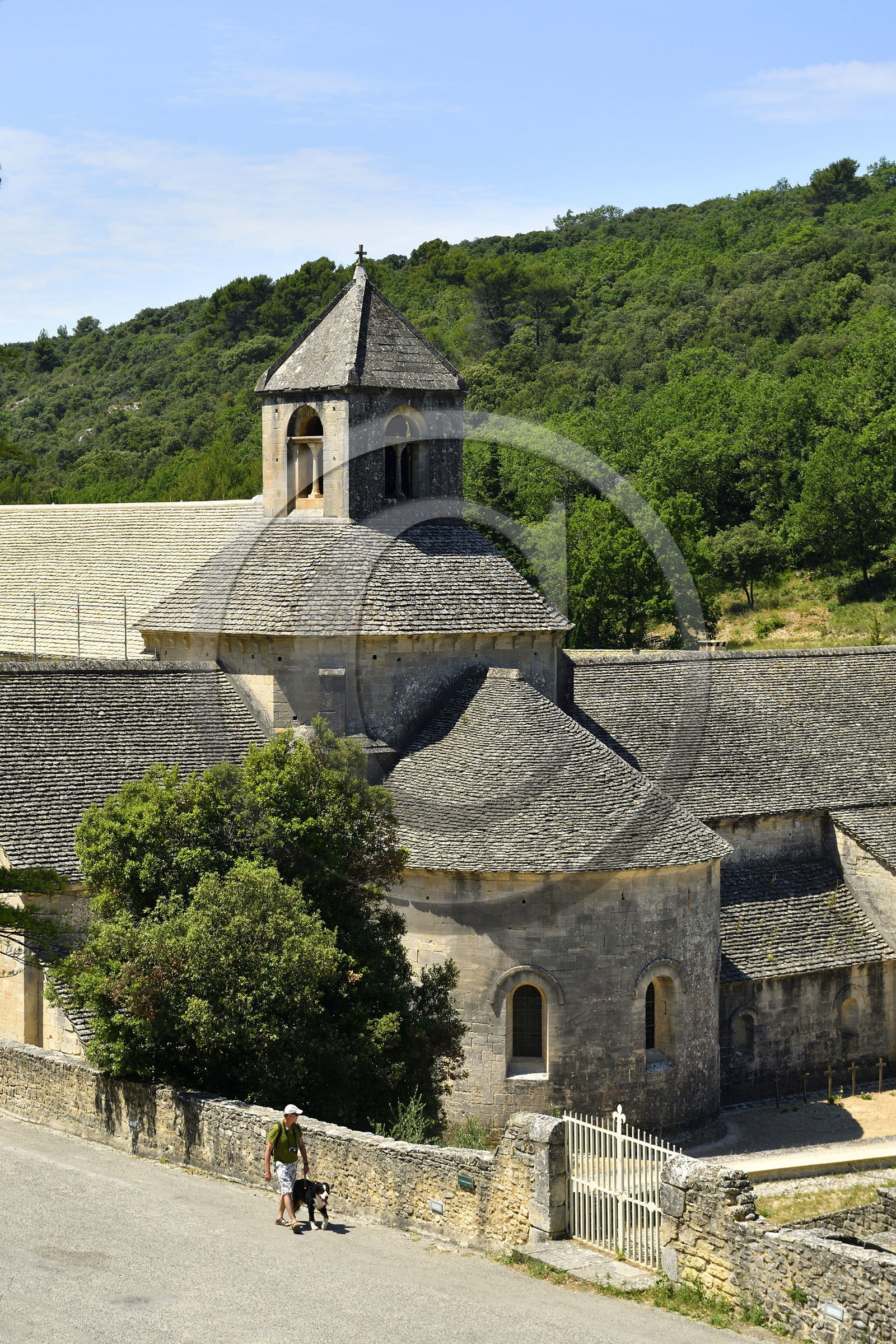 France, Senanque