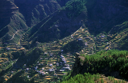 Canaries. Espagne