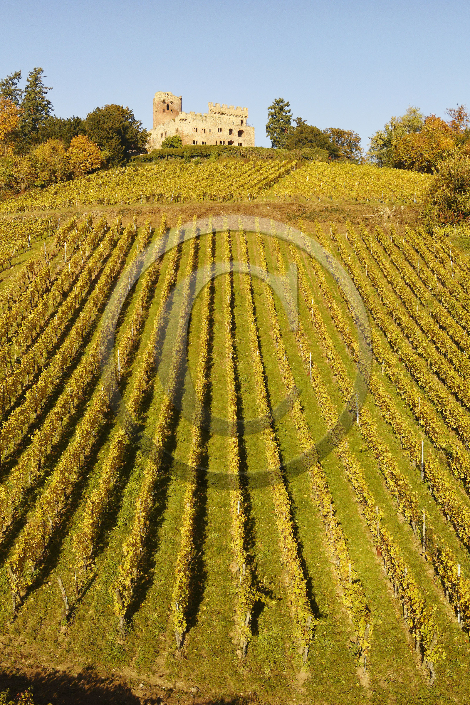 France, Kintzheim