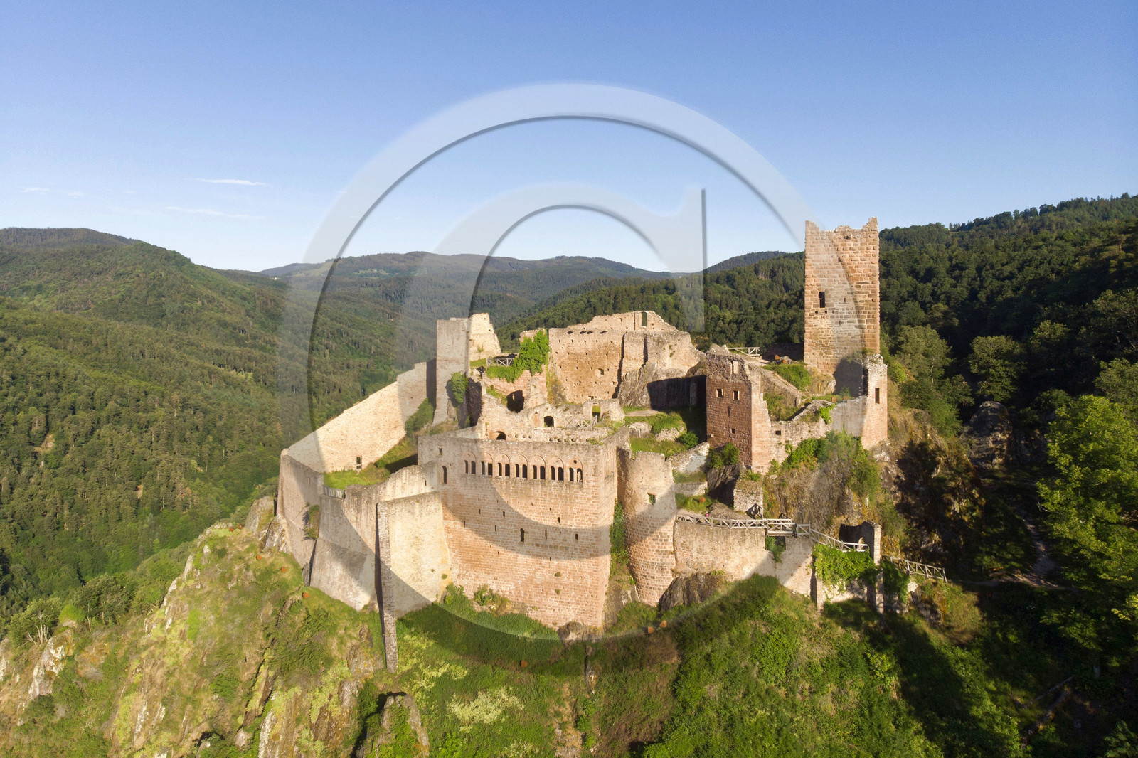 France, Ribeauville