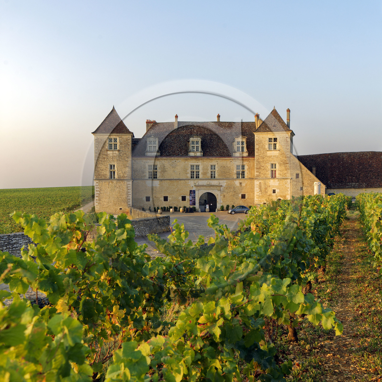 France, Vougeot