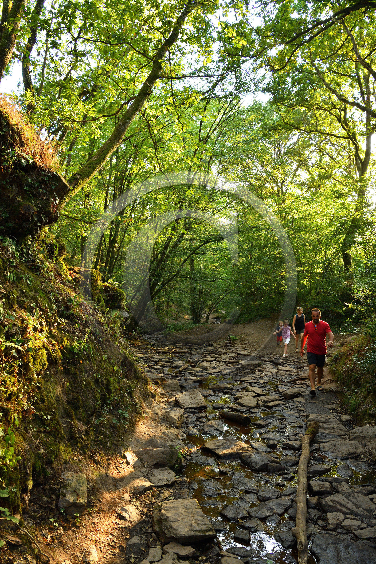 France, Brocéliande