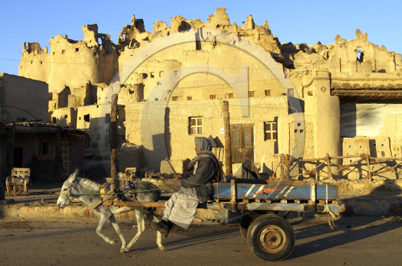 Egypte, Siwa