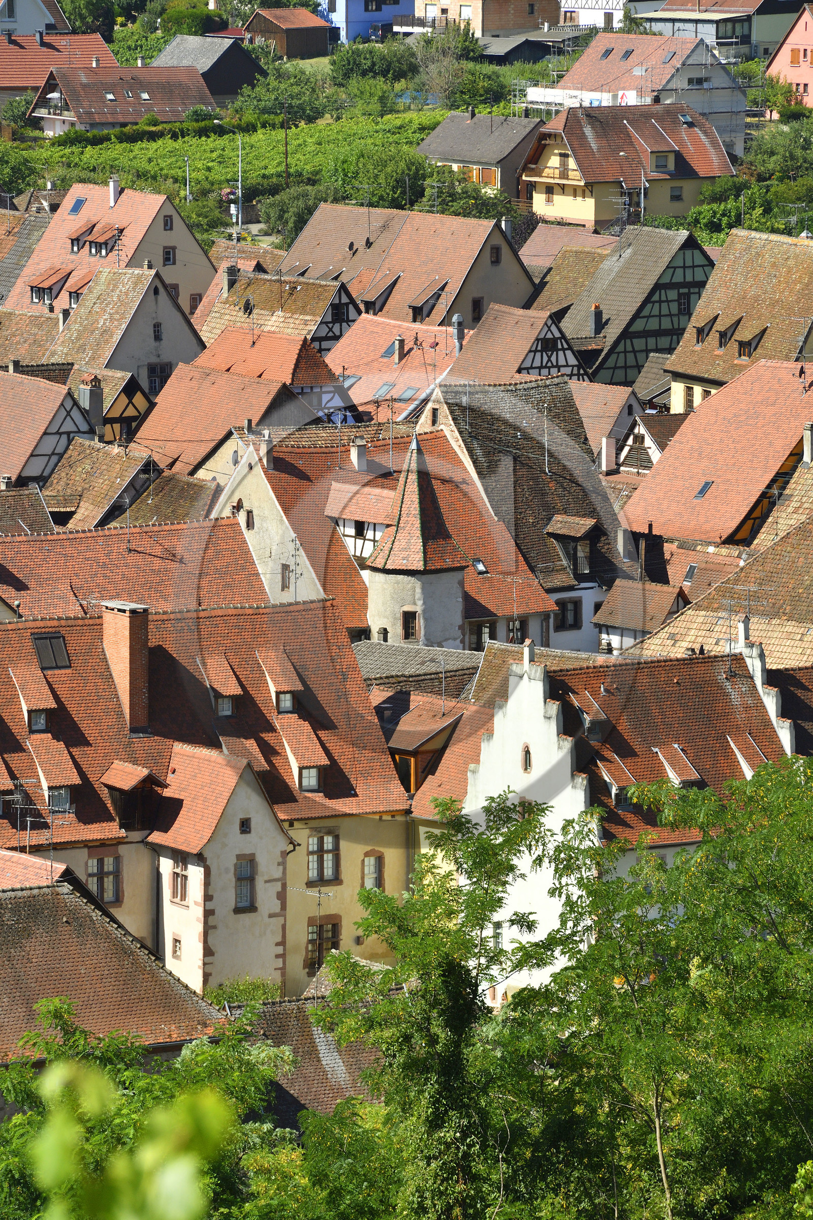 France,  Riquewihr