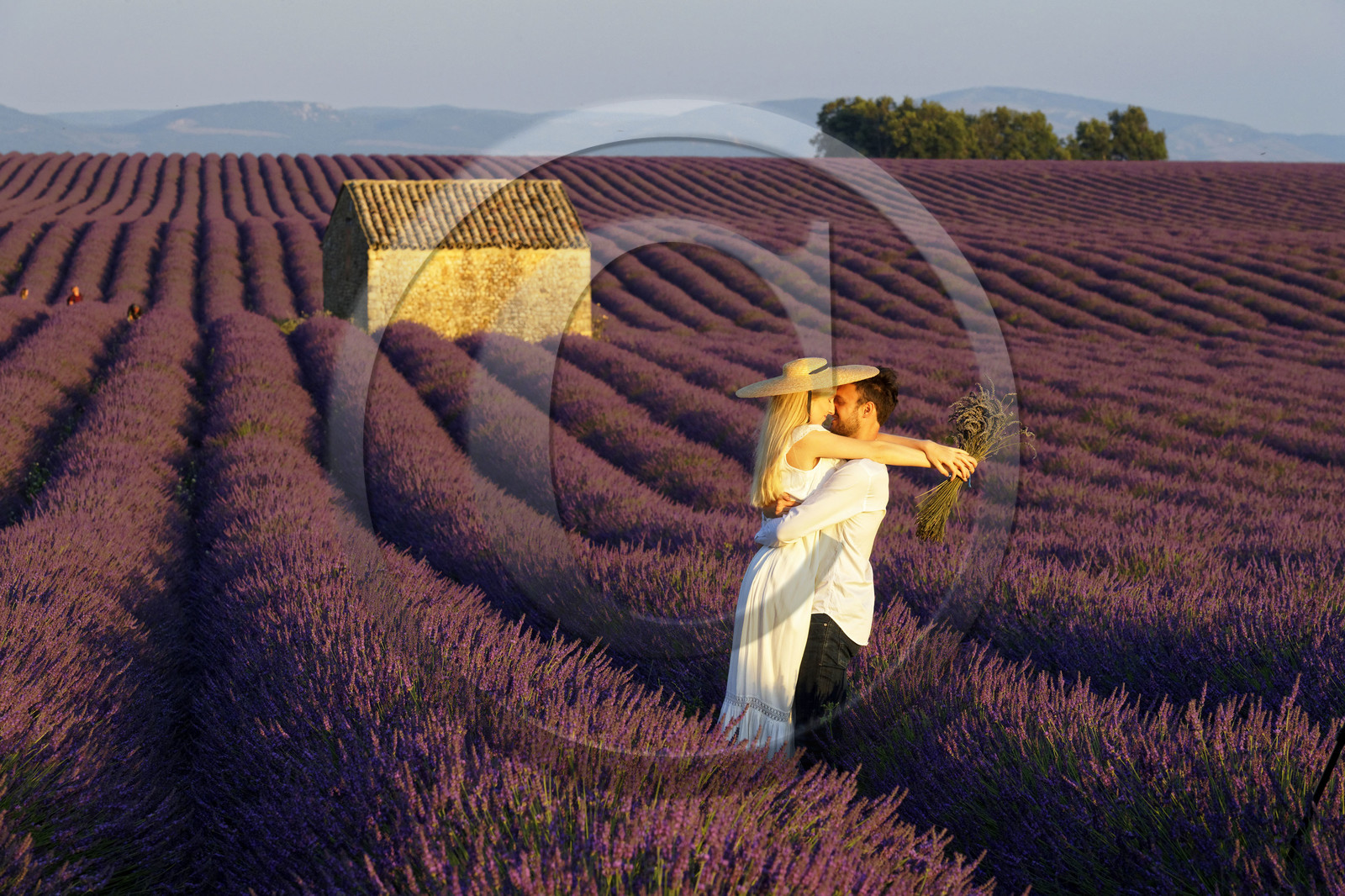France, Valensole