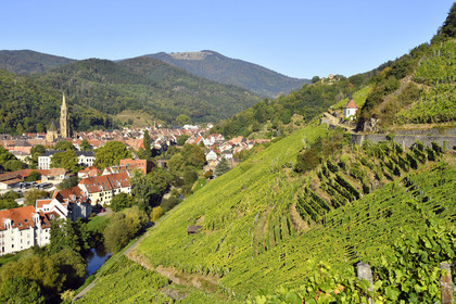 France, Thann
