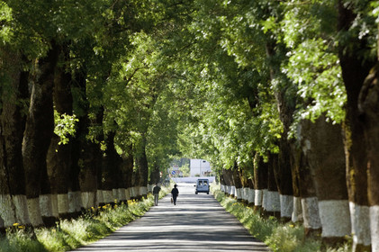 Alentejo, Portugal