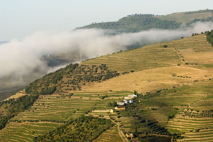 Douro, Portugal