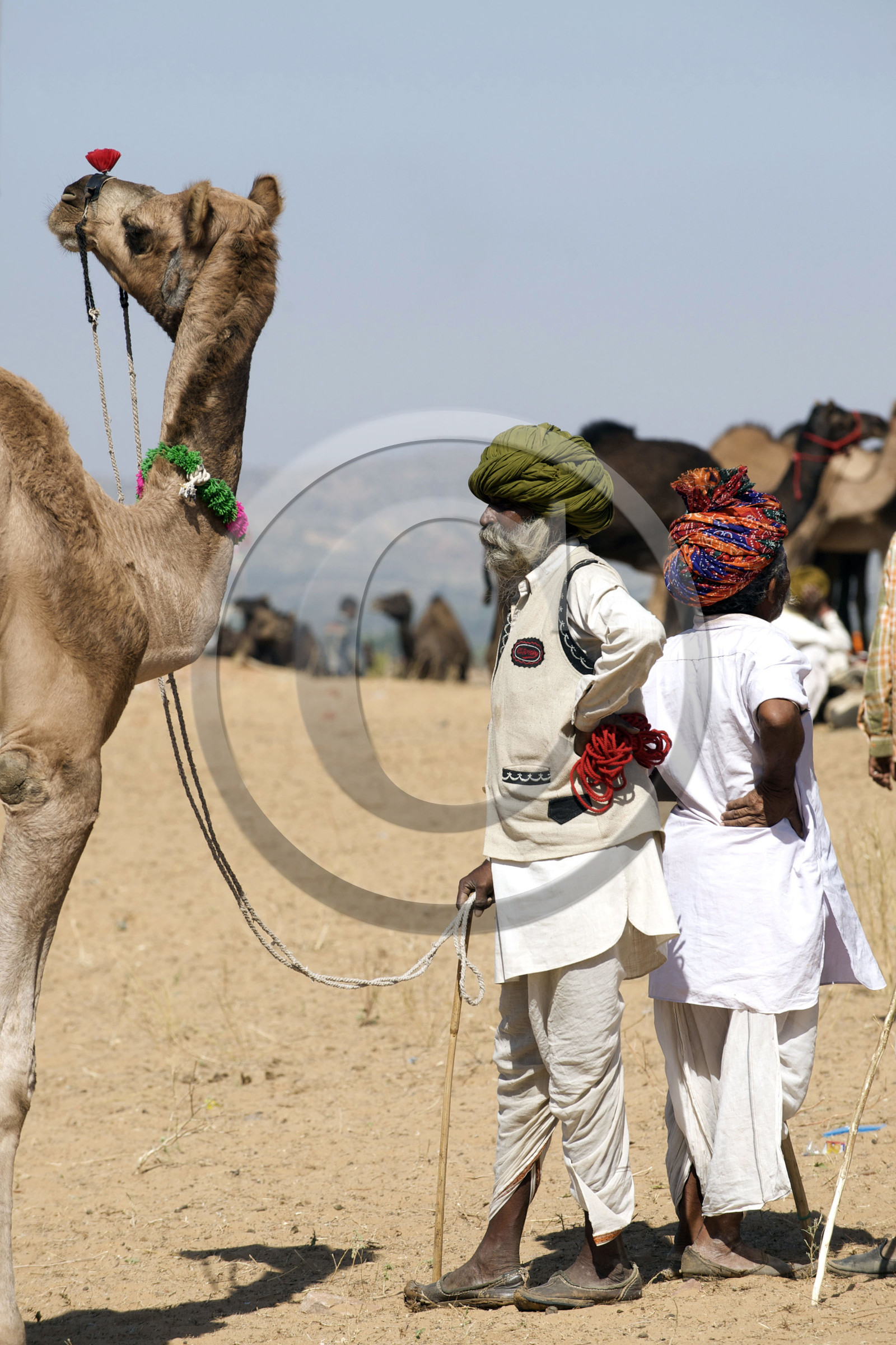 Inde, Pushkar