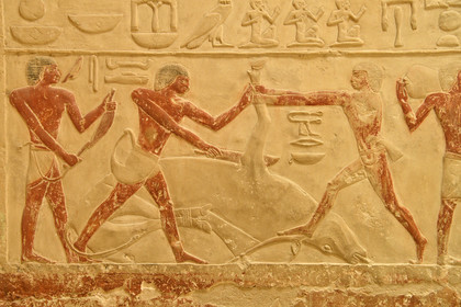 Egypte, Saqqara