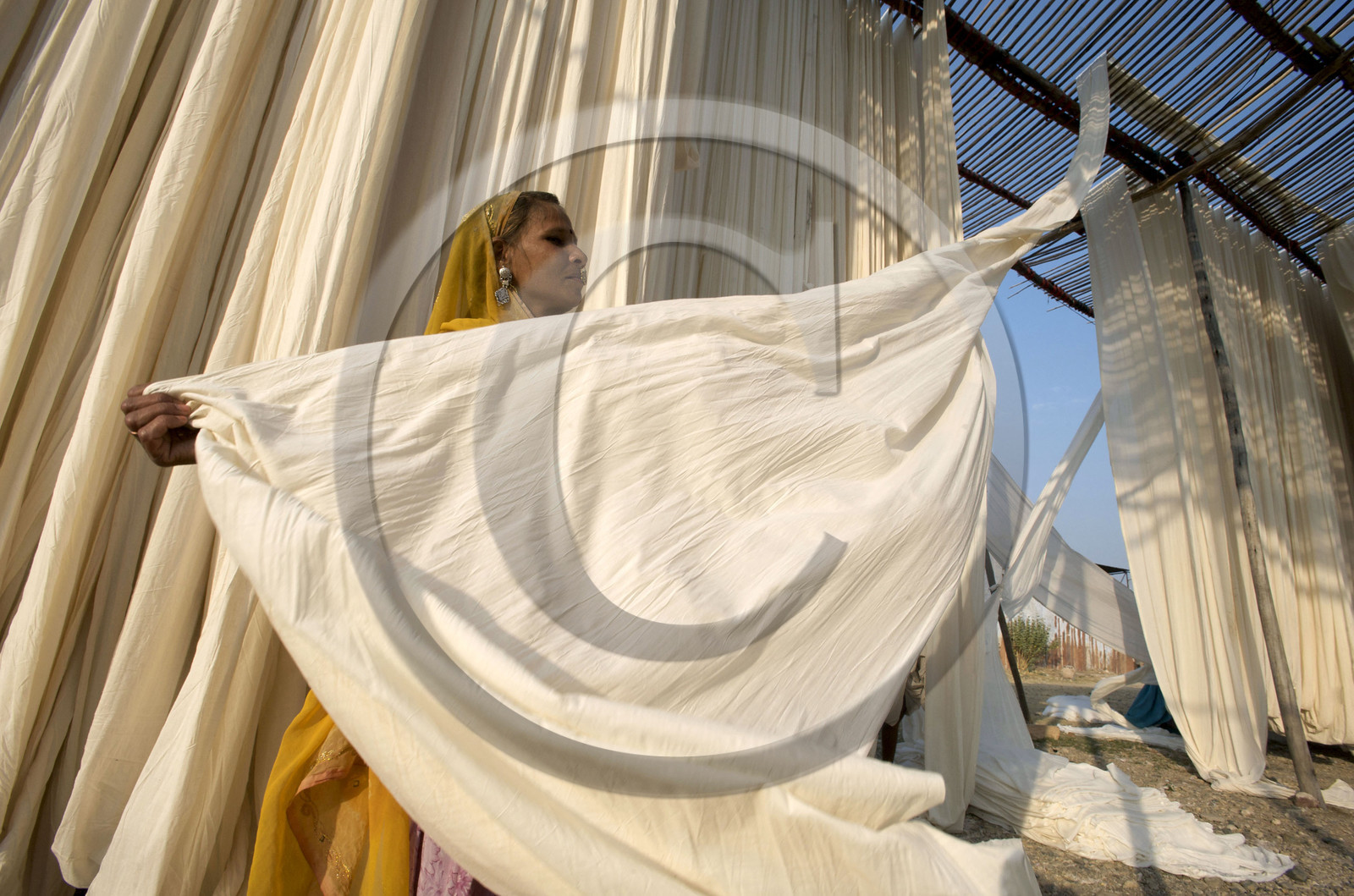 Inde, sari
