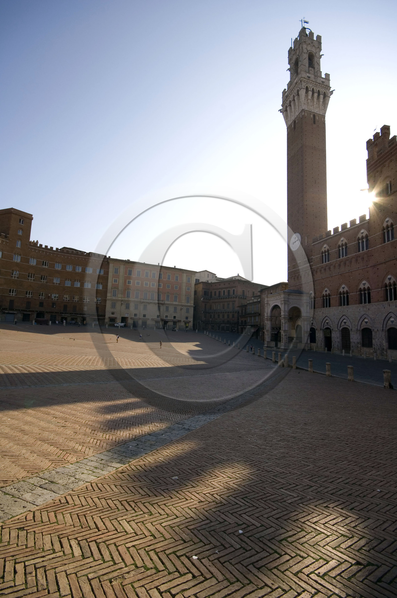 Palazzo Pubblico avec Torre del Mangia, Piazza del Campo, Sienne, Toscane, Italie