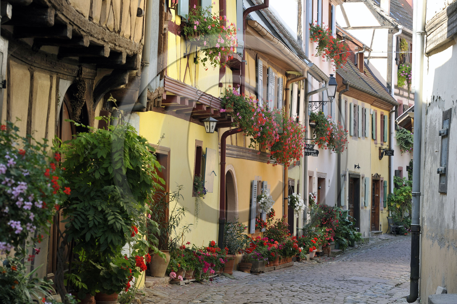 France, Eguisheim