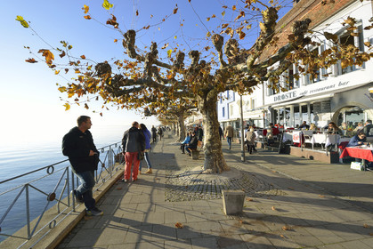 Allemagne, Meersburg