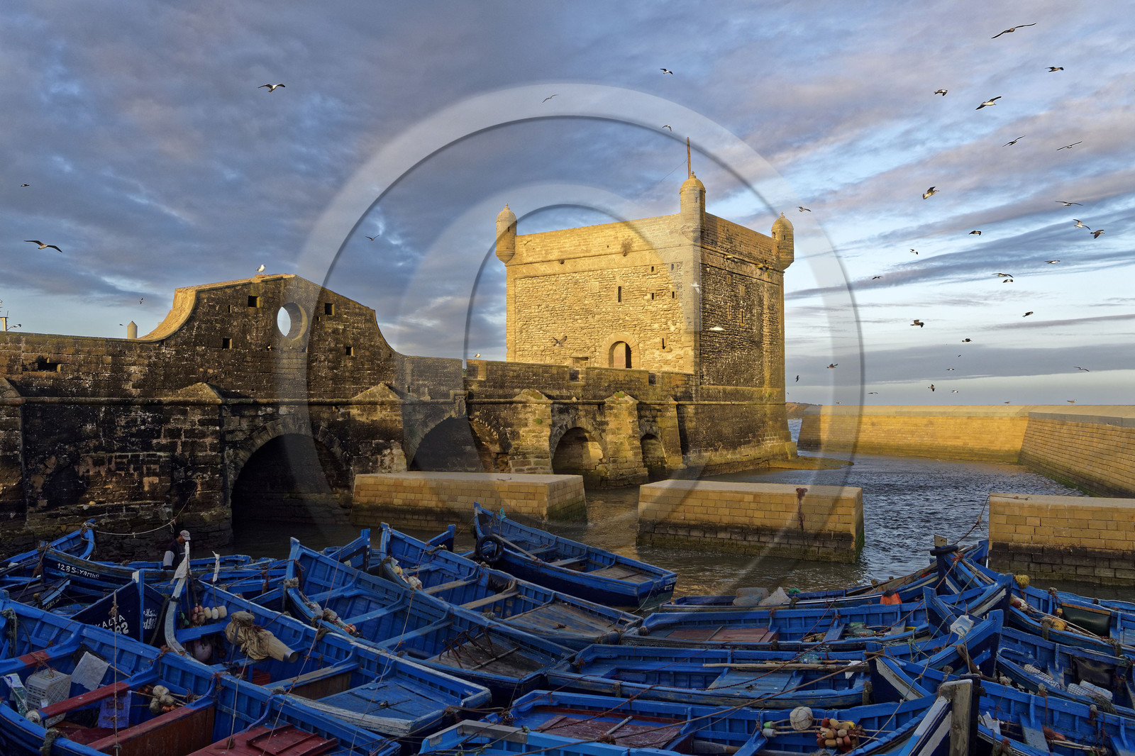 Maroc, Essaouira