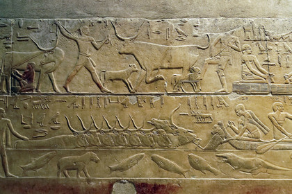 Egypte, Saqqara